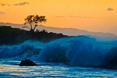 Photo ID: 061210d1-4898 Photo ID: 061210d1-4898